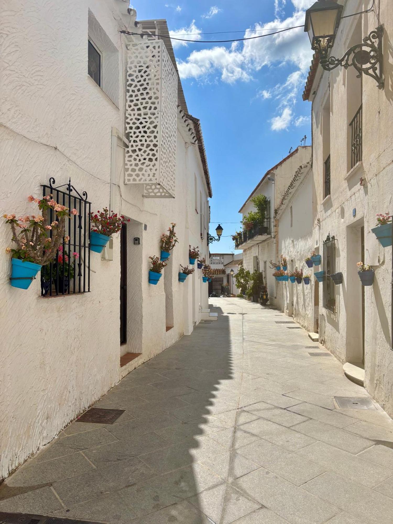 Arya'S Nest Apartment Mijas Exterior photo